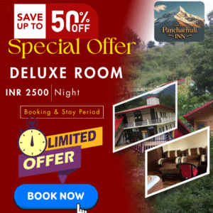 Brown And White Modern Online Hotel Booking Instagram Post (4)